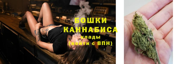 дживик Заволжск