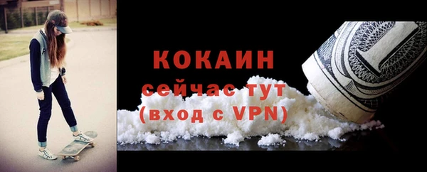 ГАЛЛЮЦИНОГЕННЫЕ ГРИБЫ Елизово