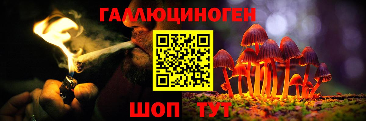 Рязань  Псилоцибиновые грибы Psilocybine cubensis  Вход с VPN  Галлюциногенные грибы прущие грибы 